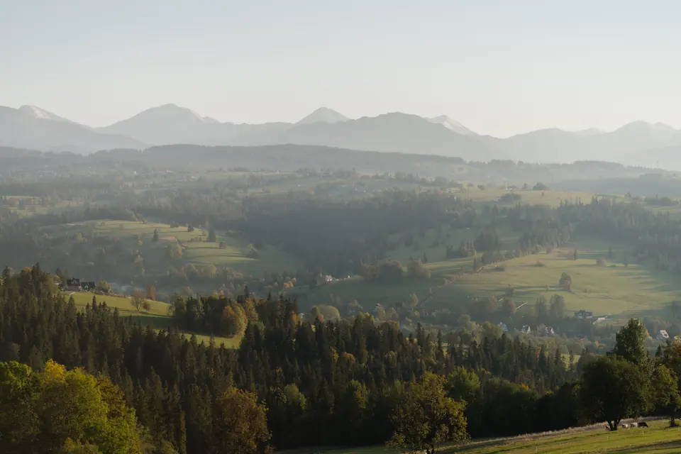 Podhalańskie pola i lasy z Tatrami w tle