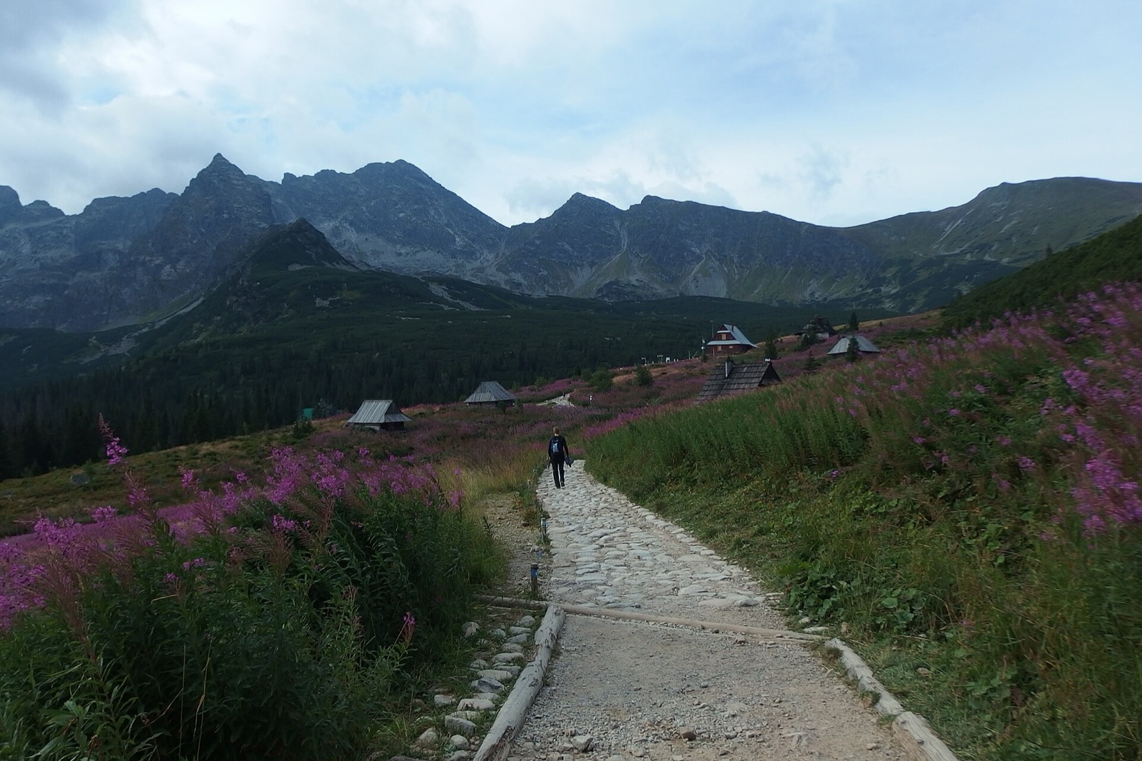 Dolina Gąsienicowa