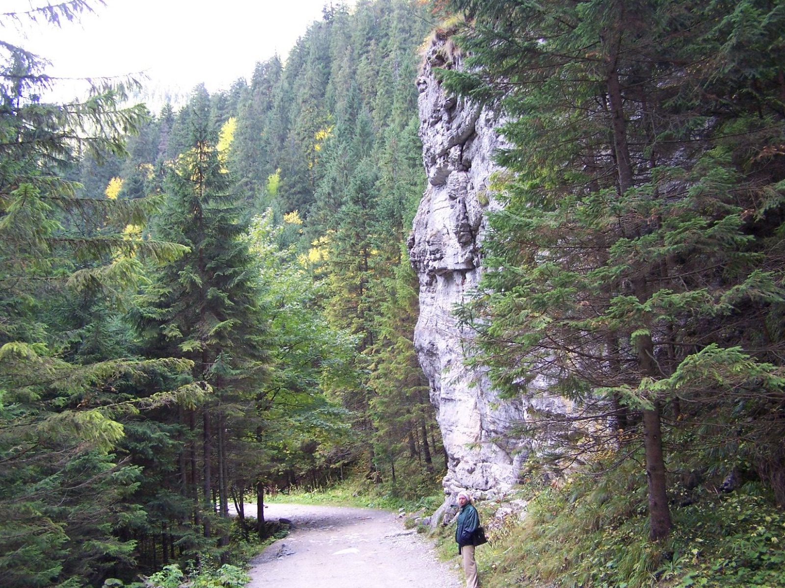 Dolina Kościeliska